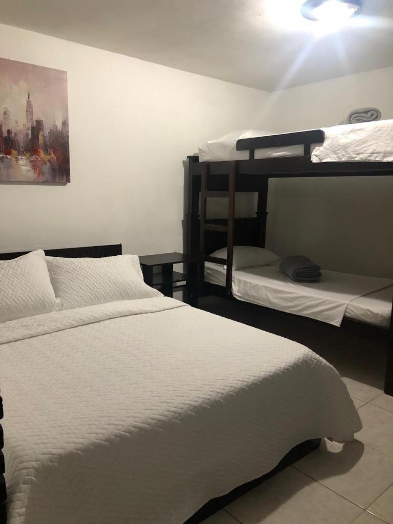 New Memphis Hostal メデジン エクステリア 写真