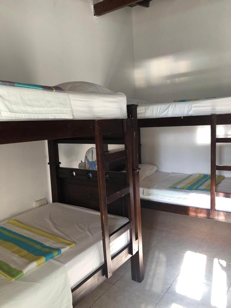 New Memphis Hostal メデジン エクステリア 写真